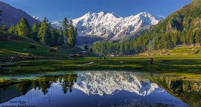Nanga Parbat BC